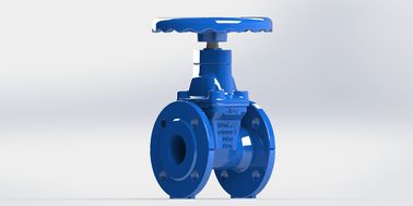 ANSI End Connection Water Gate Valve Ανθεκτικός στη διάβρωση ανοξείδωτος χάλυβας για μακροχρόνια απόδοση
