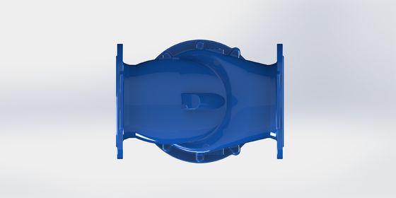EPDM Seal Swing Flex Check Valve με εύρος μεγέθους DN50-700 και σύνδεση φλάντζας PN10/PN16
